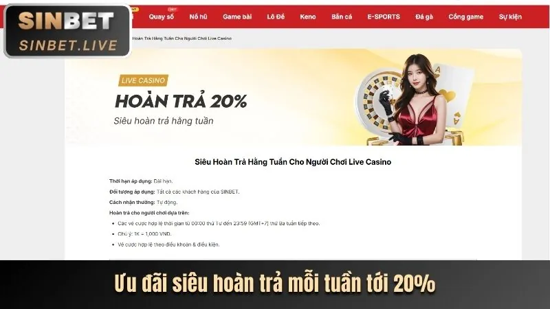 Hoàn trả hàng ngày 11bet